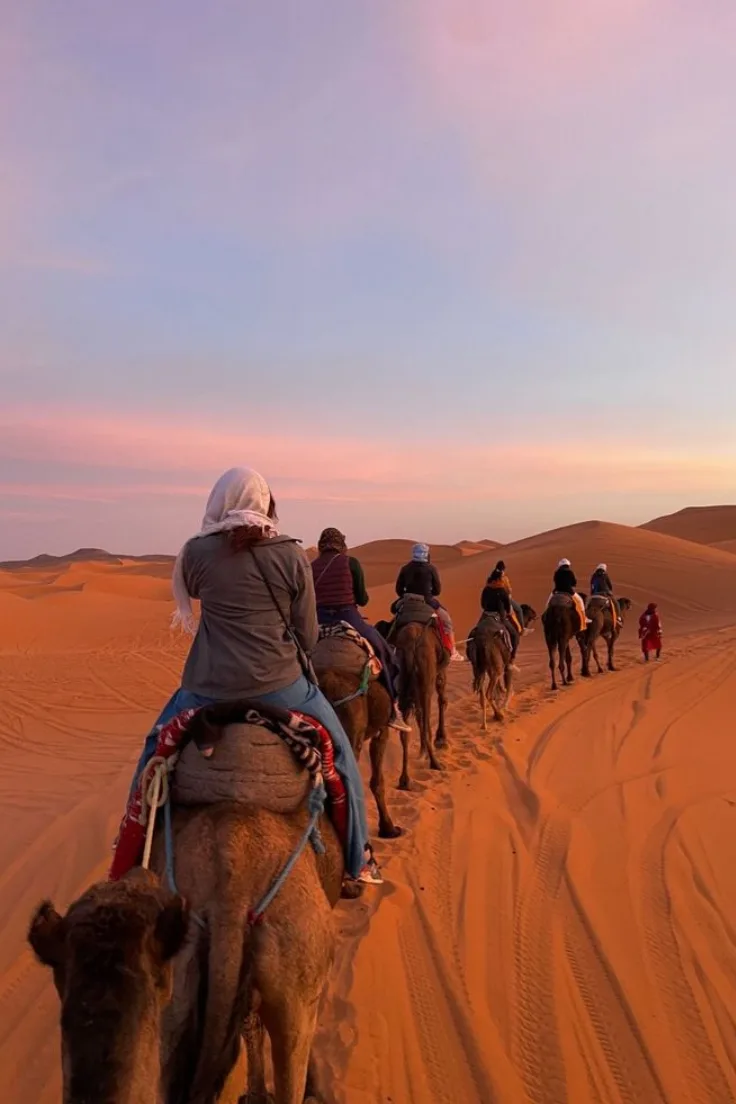 Camel trek in the Zagora desert Camel trek at sunset across the Zagora desert dunes