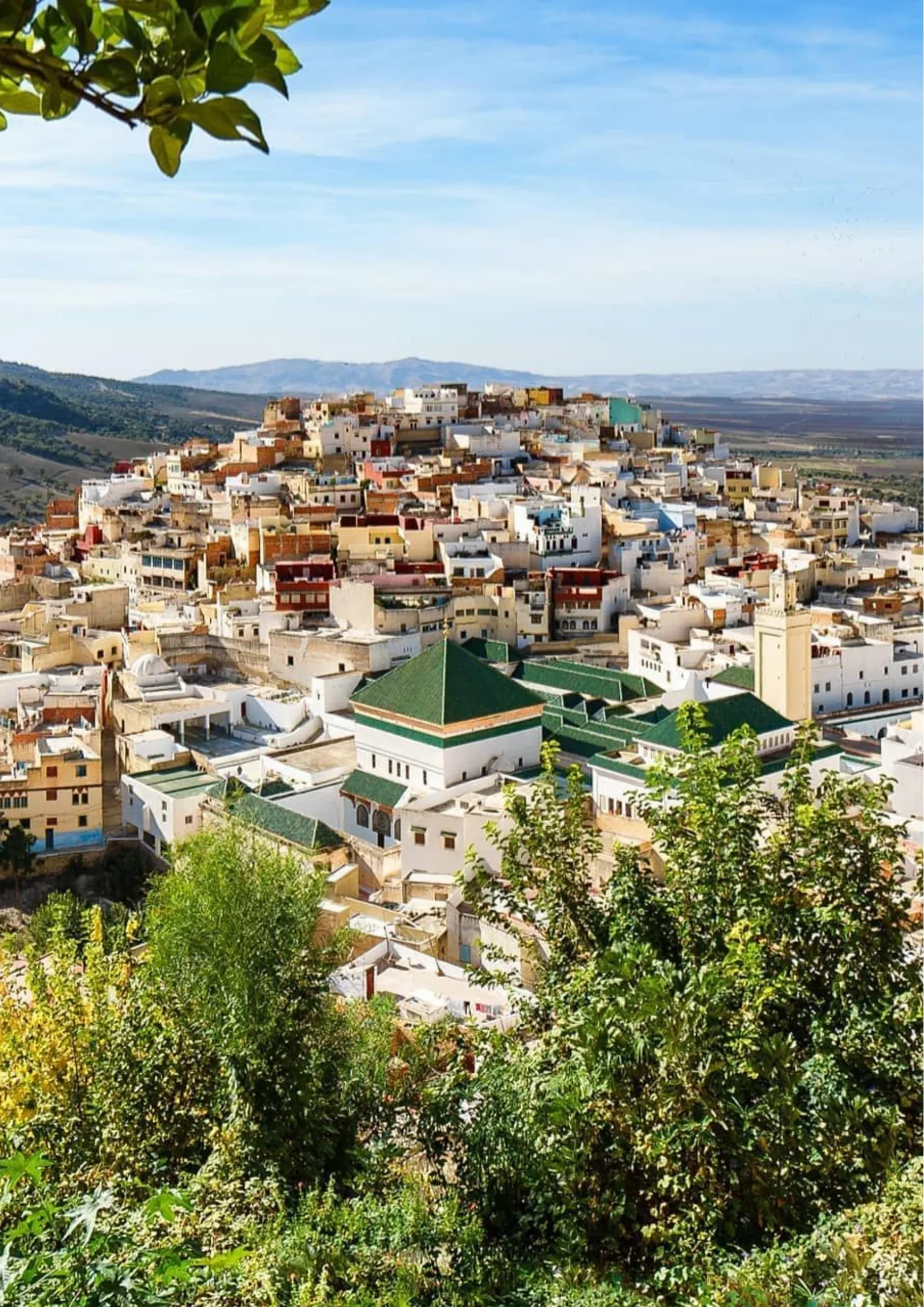 Panoramic view over the Fes medina rooftops and a green-tiled mosque roof