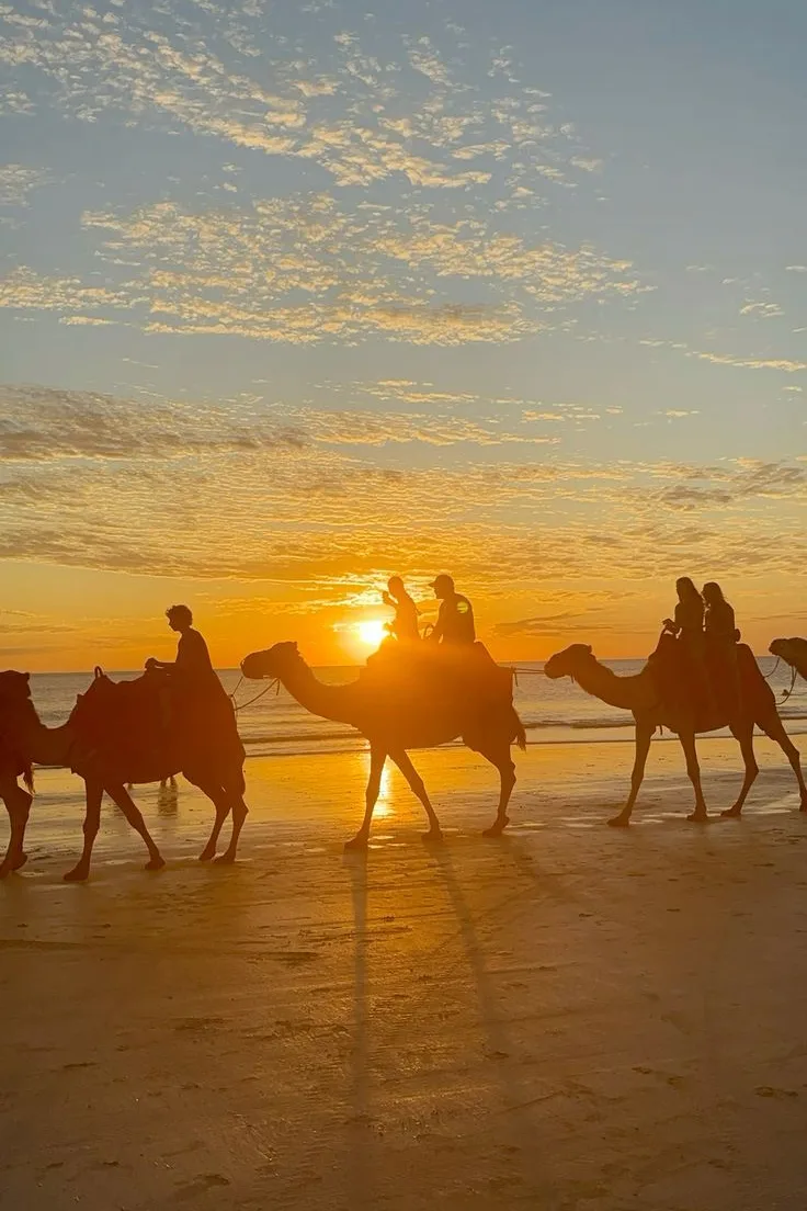 Riders on camels silhouetted at sunset on a beach near Tangier